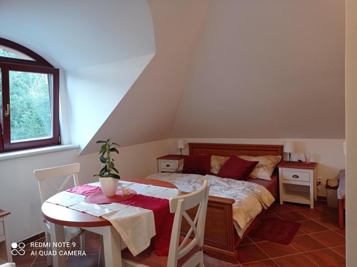 Apartmany U Orlickeho Jezera - Kamenice Klucenice Bagian luar foto
